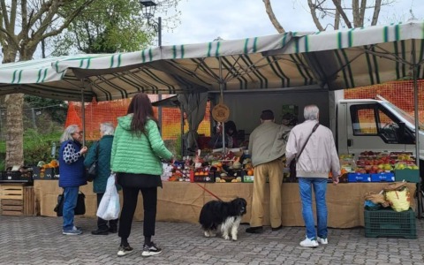 Prosegue in via sperimentale il mercato del lunedì in piazza Bava