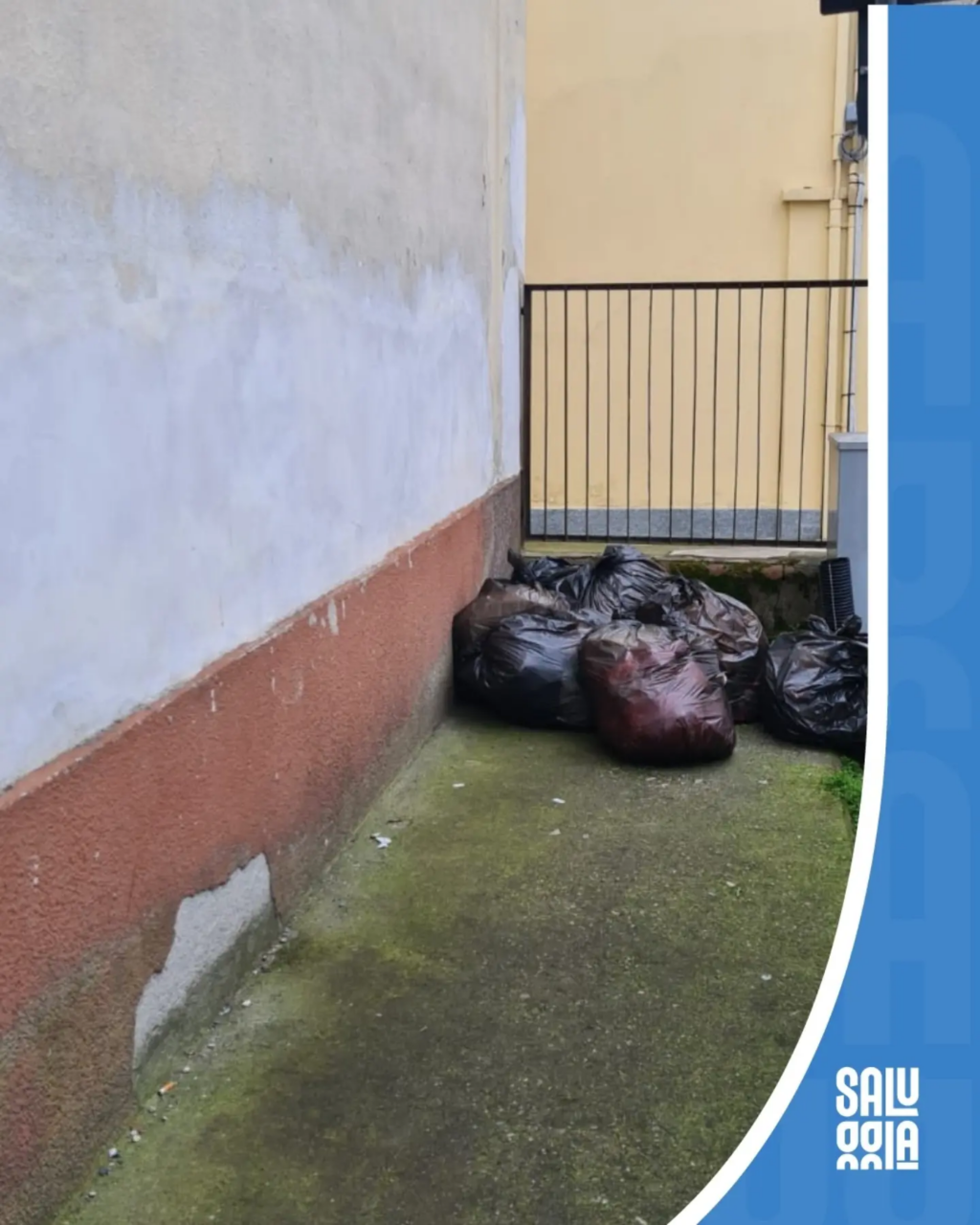 Rifiuti abbandonati in via Lusani, sanzionato il colpevole
