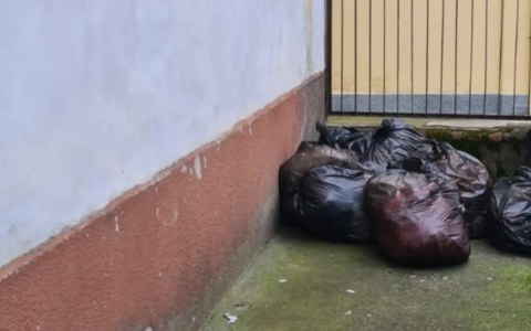 Rifiuti abbandonati in via Lusani, sanzionato il colpevole