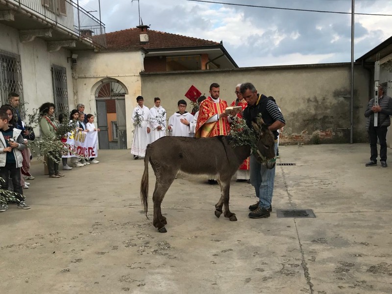 Cosa fare nel Chivassese e Vercellese: gli eventi del fine settimane di sabato 28 e domenica 29 marzo