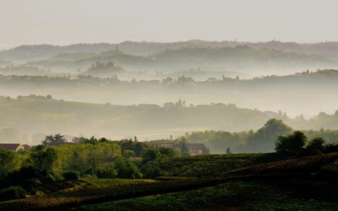 Vino, il Consorzio Asti Docg brinda allo spumante Rosé