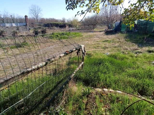 Al via la bonifica: l’area ex Sinti diventerà il centro per il verde