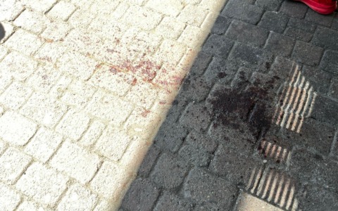 Ennesima scazzottata in stazione