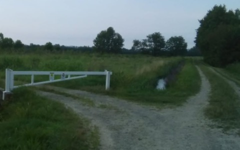 Via Po chiusa, è polemica: “Inserita nel percorso di VenTo”