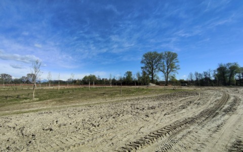 “Da ponte a ponte”: pubblicato l’avviso di avvio del procedimento