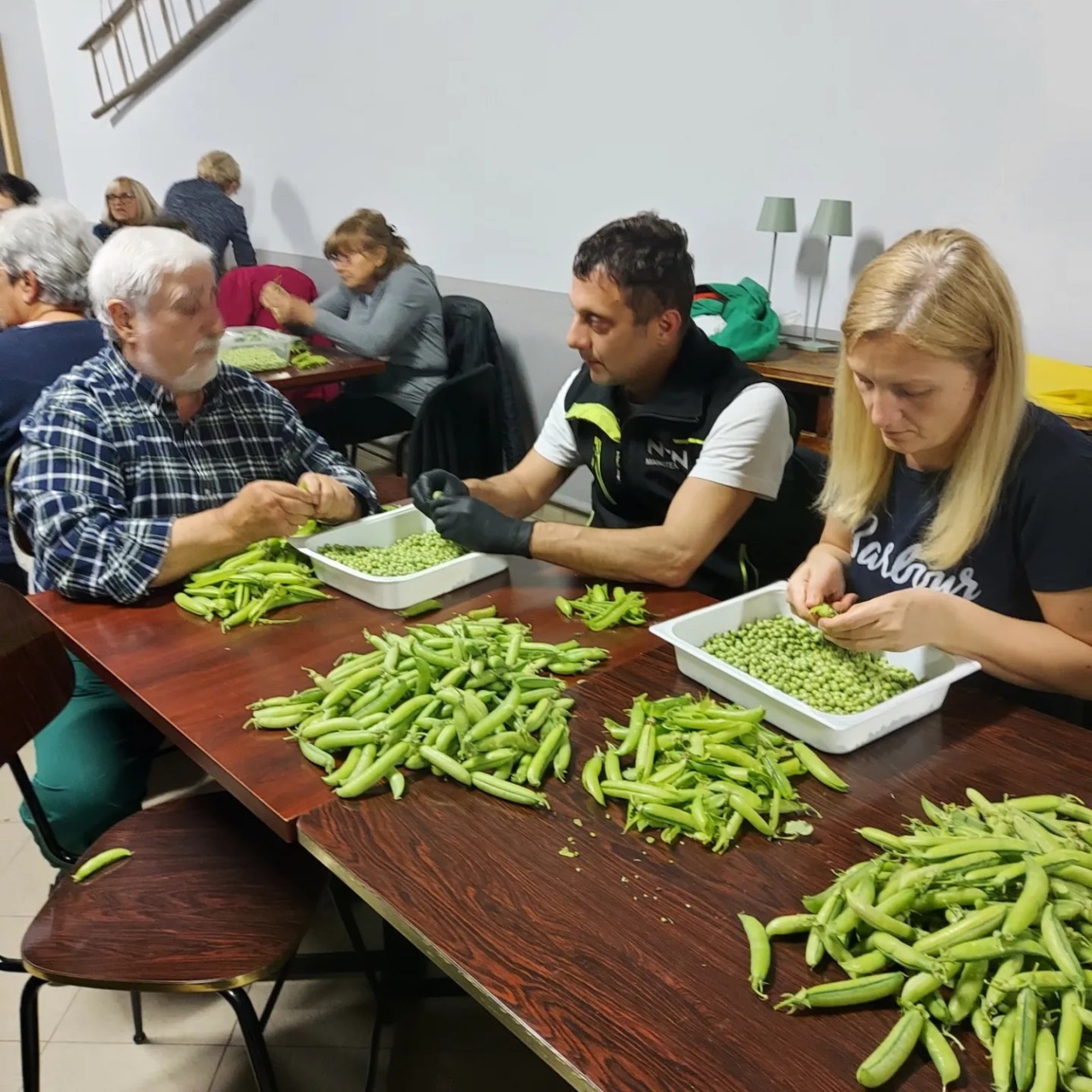 Cosa fare nel Chivassese e Vercellese: gli eventi del fine settimane di sabato 23 e domenica 24 maggio