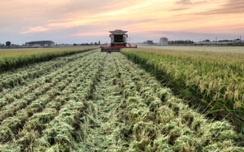 Ferrero ha deluso il mondo agricolo