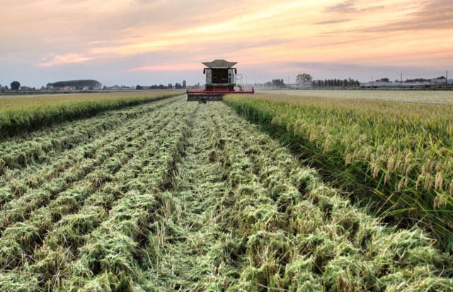 Ferrero ha deluso il mondo agricolo