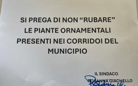 Adesso rubano anche le piante ornamentali in Comune