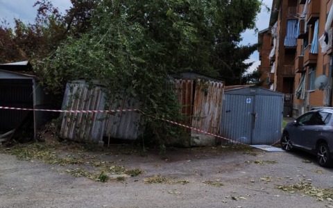Case scoperchiate e alberi sui garage, “Sindaco chieda lo stato di calamità naturale”