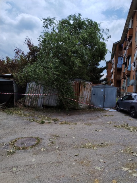 Case scoperchiate e alberi sui garage, “Sindaco chieda lo stato di calamità naturale”