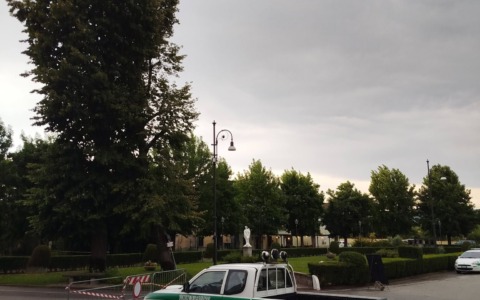 Albero secolare sradicato dal vento a Verolengo