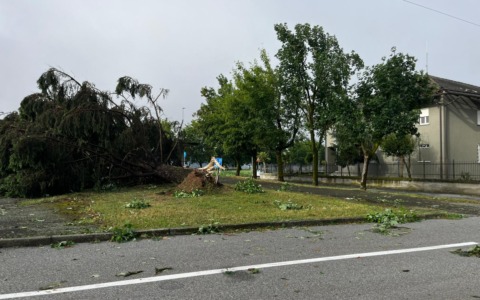 Crescentino, alloggi Villaggio Fiat: lettera del sindaco ad ATC