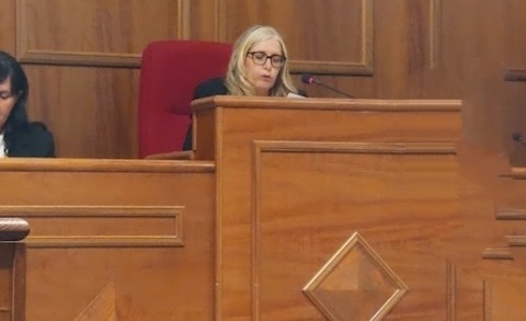 Brandizzo, aumentano le indennità di sindaca, vice e assessori: è polemica