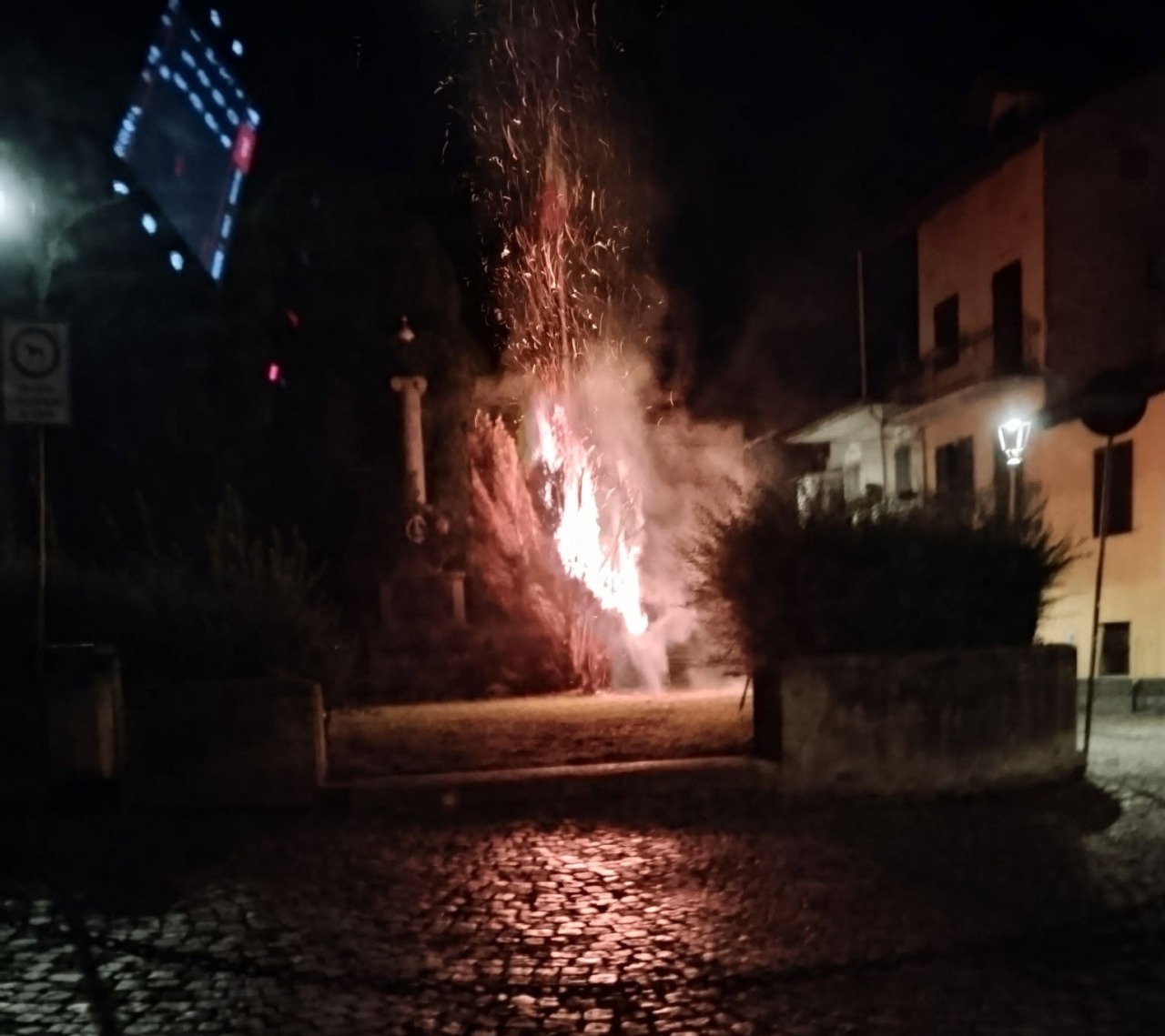 Vandali in azione: dato fuoco a un albero nella notte