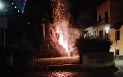 Dà fuoco ad un albero, quindicenne denunciato