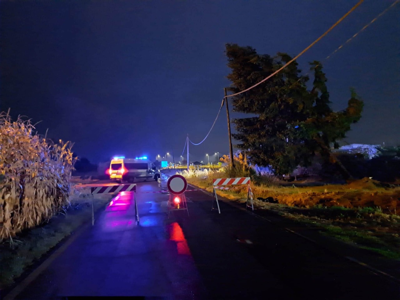 Chivasso, il nubifragio di giovedì fa danni in città: alberi abbattuti, tetti scoperchiati e auto colpite
