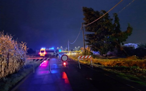 Chivasso, il nubifragio di giovedì fa danni in città: alberi abbattuti, tetti scoperchiati e auto colpite