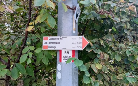 La Città Metropolitana stanzia 35 mila euro per la manutenzione dei sentieri: come partecipare