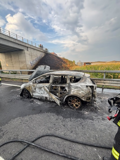 Auto va in fiamme sulla Sp11: illeso il conducente