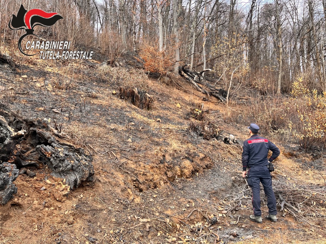 Incendi boschivi: denunciate 20 persone per accensioni non autorizzate e sanzioni per 91.450 euro