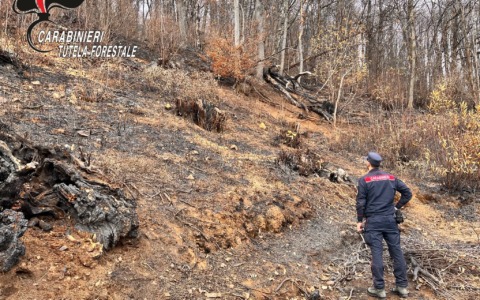 Incendi boschivi: denunciate 20 persone per accensioni non autorizzate e sanzioni per 91.450 euro