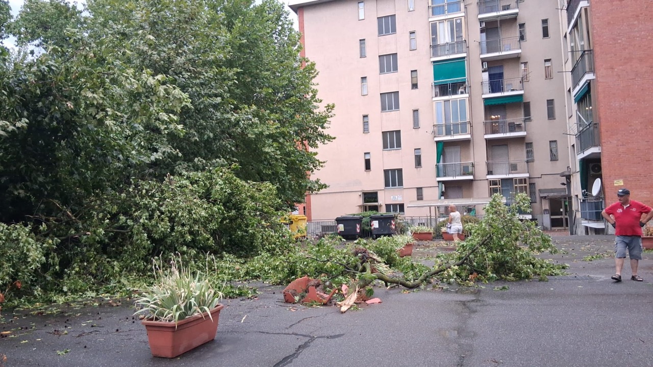 Violento temporale sul Chivassese: alberi abbattuti, strade e case allagate