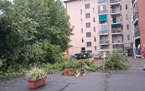Violento temporale sul Chivassese: alberi abbattuti, strade e case allagate
