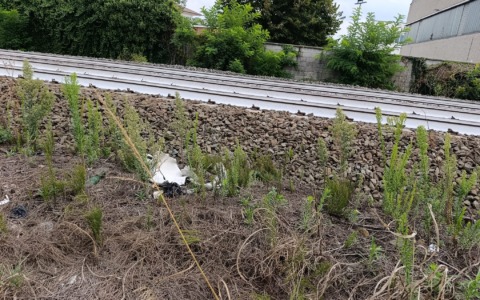 Brandizzo, degrado e rifiuti in via I Maggio: insorgono i residenti