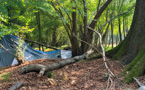 Ha vissuto per anni dentro una tenda sotto una quercia: ora scatta la bonifica