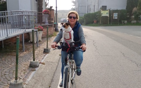 Saluggia, costretti a fuggire dopo l’avvelenamento del cane