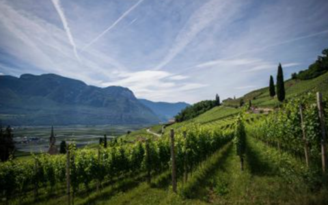 Nasce il Distretto del Cibo: 16 Comuni uniti per l’agricoltura e il territorio
