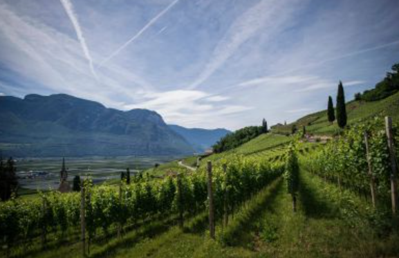 Nasce il Distretto del Cibo: 16 Comuni uniti per l’agricoltura e il territorio