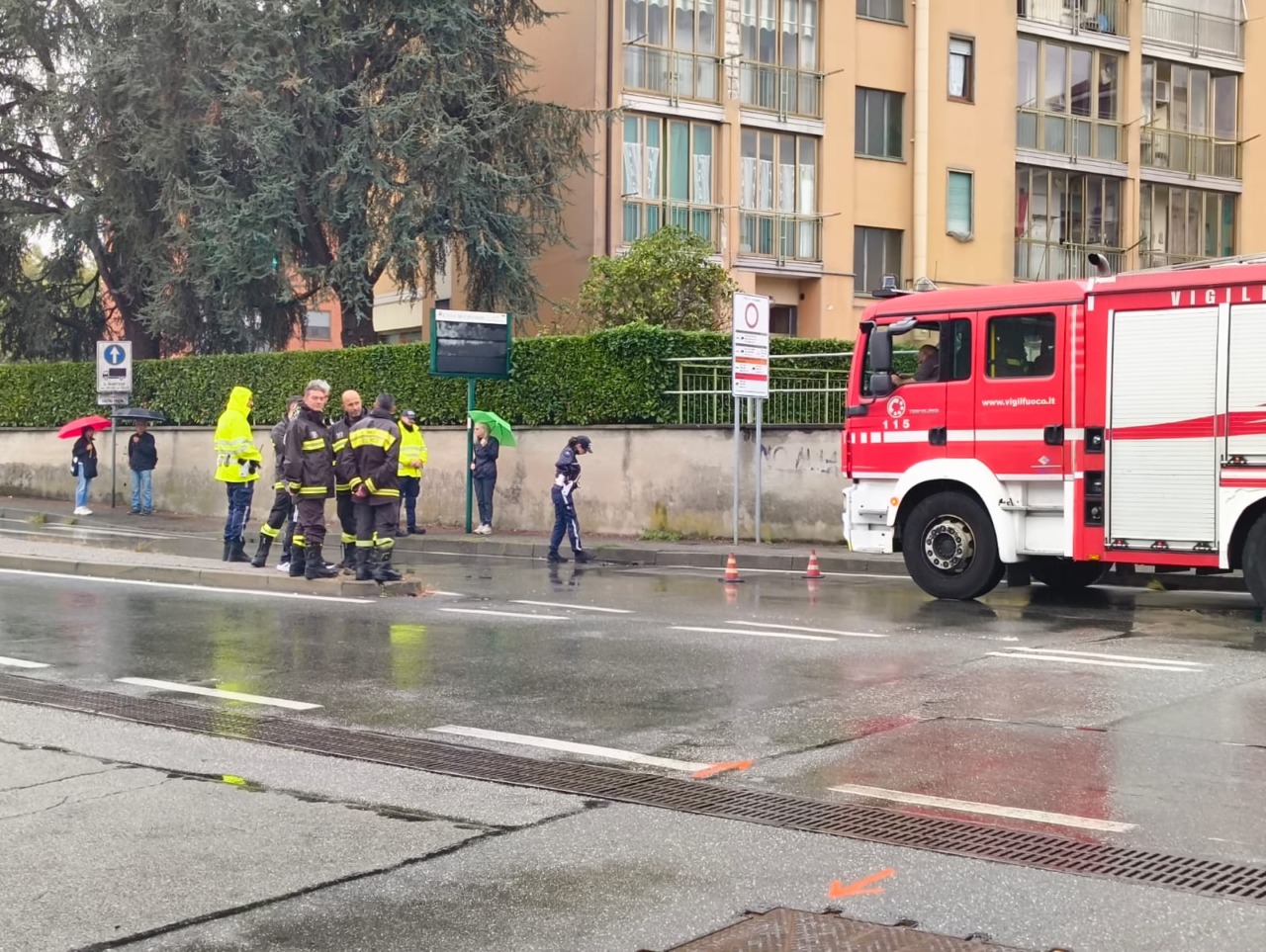 Volpe finisce nello scarico delle acque piovane, intervengono Vigili del Fuoco e Polizia Locale