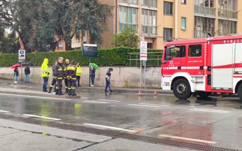 Volpe finisce nello scarico delle acque piovane, intervengono Vigili del Fuoco e Polizia Locale